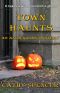 [Anna Nolan 02] • Town Haunts